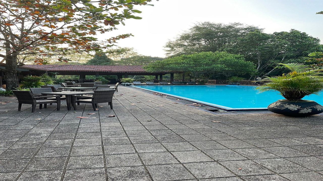 Häuser Bungalow von Tree of Life, Kandy