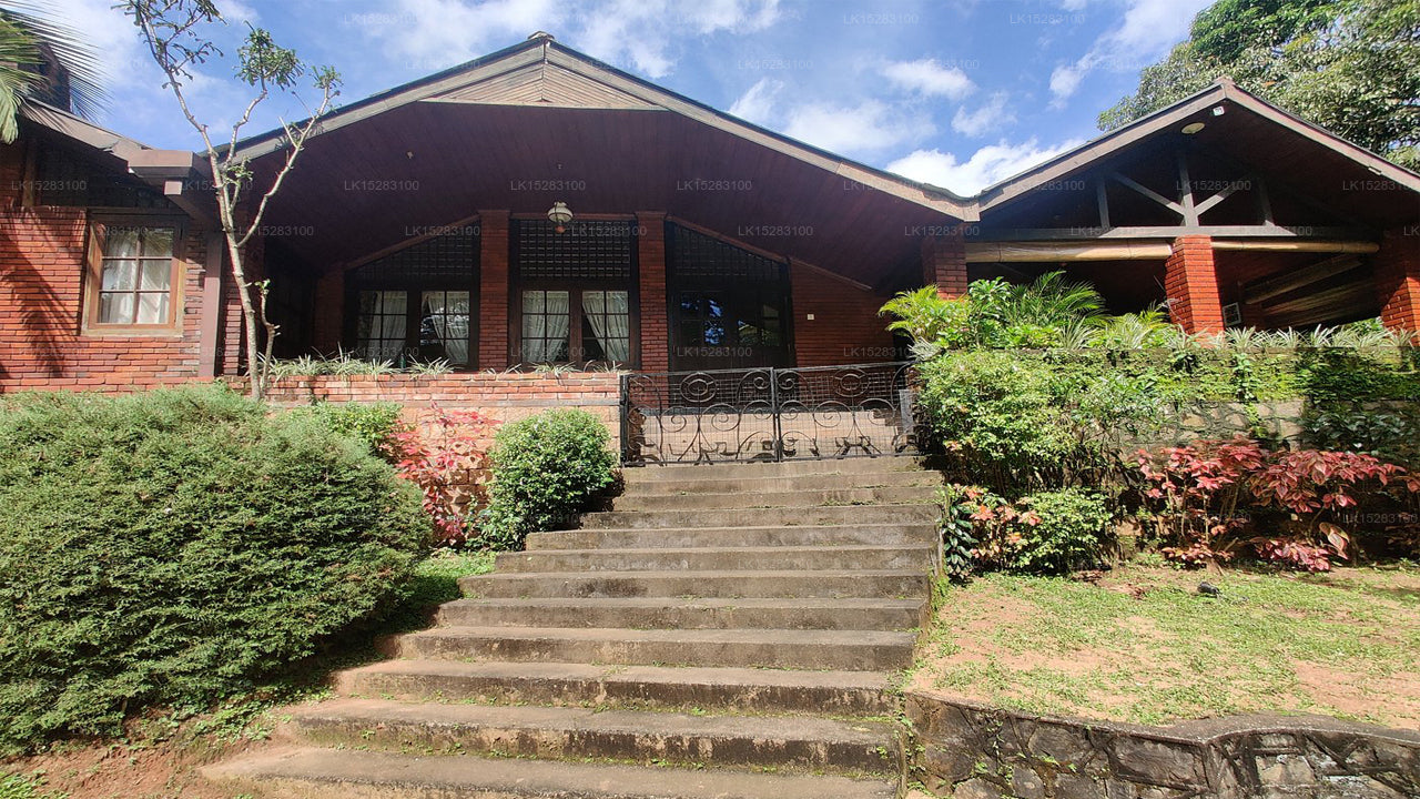 Häuser Bungalow von Tree of Life, Kandy