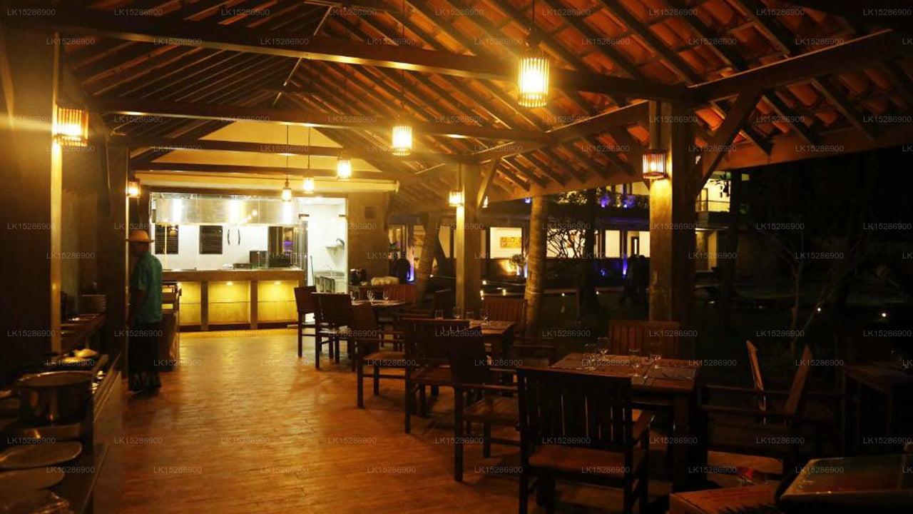 Blue Beach Hotel, Wadduwa 