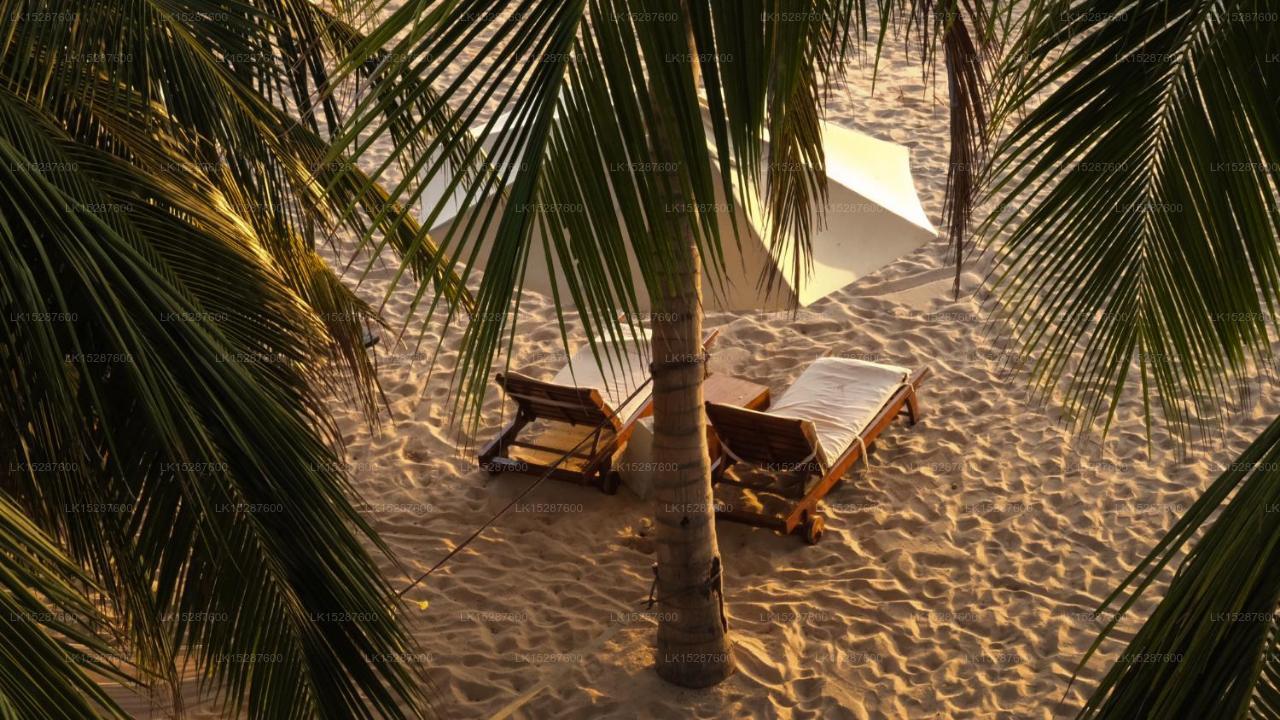 Cardamon Hotel, Nilaveli 