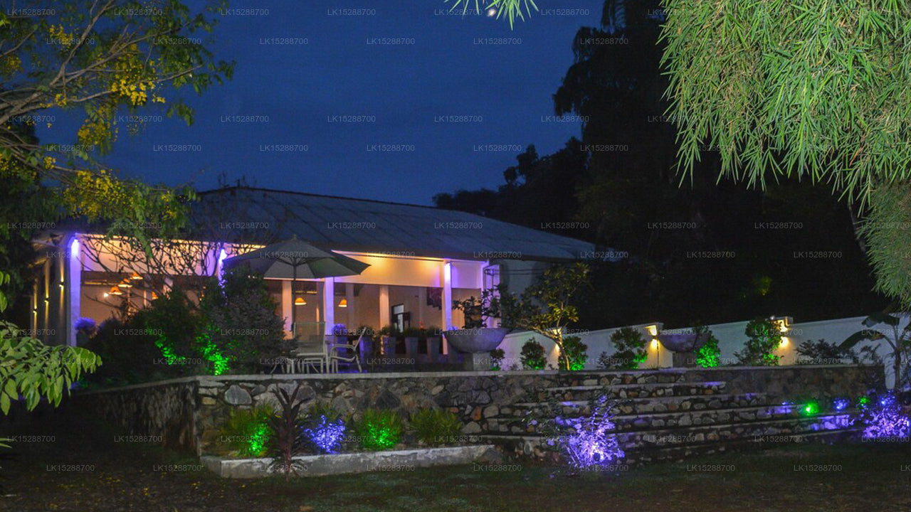 Calluna Hotel, Tangalle 
