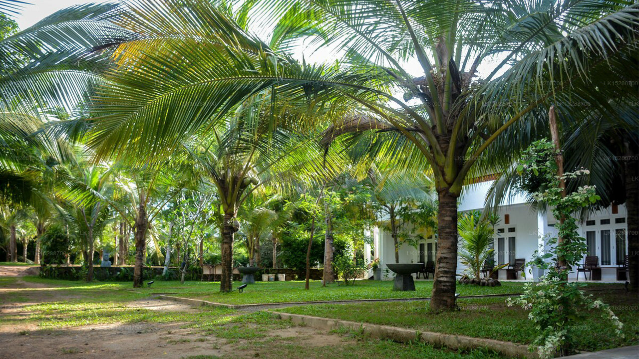 Calluna Hotel, Tangalle 