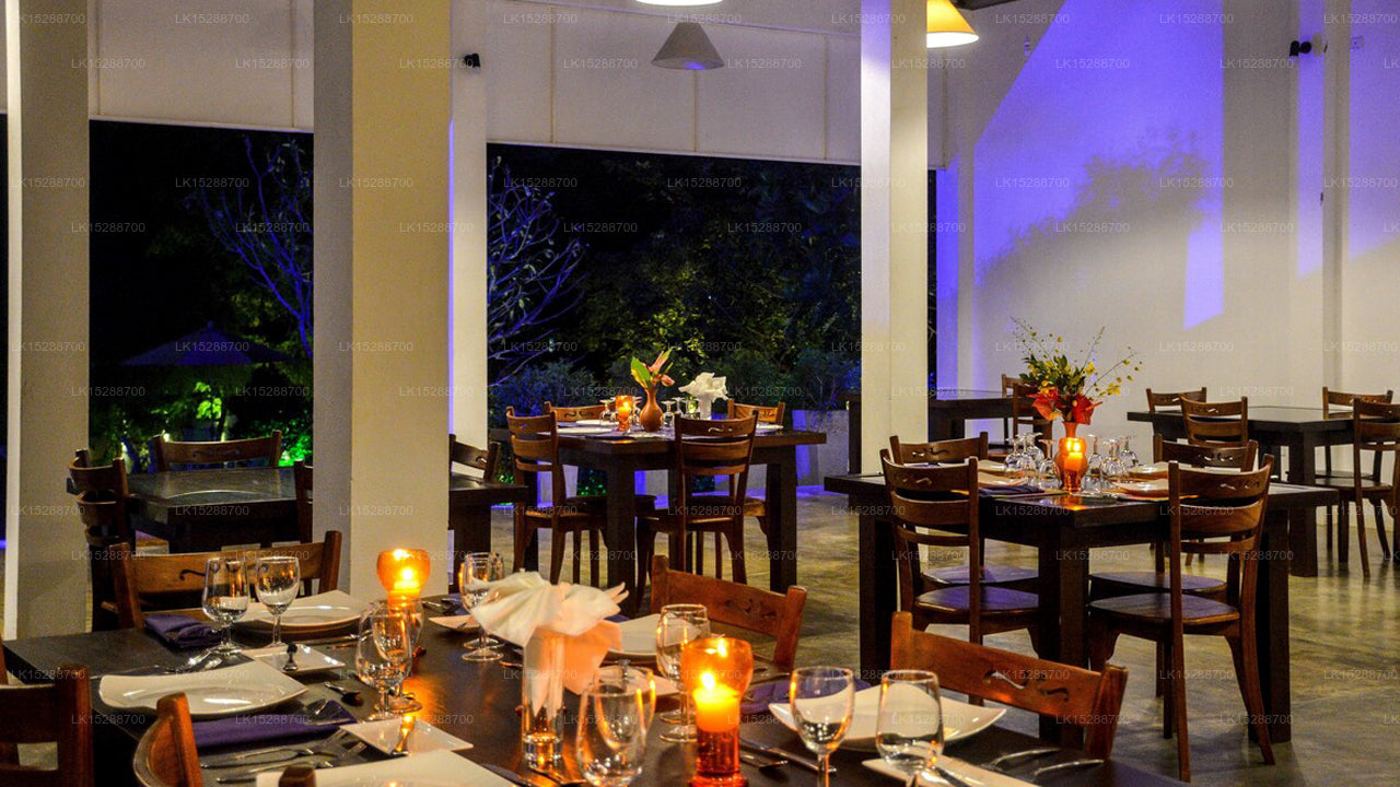 Calluna Hotel, Tangalle 