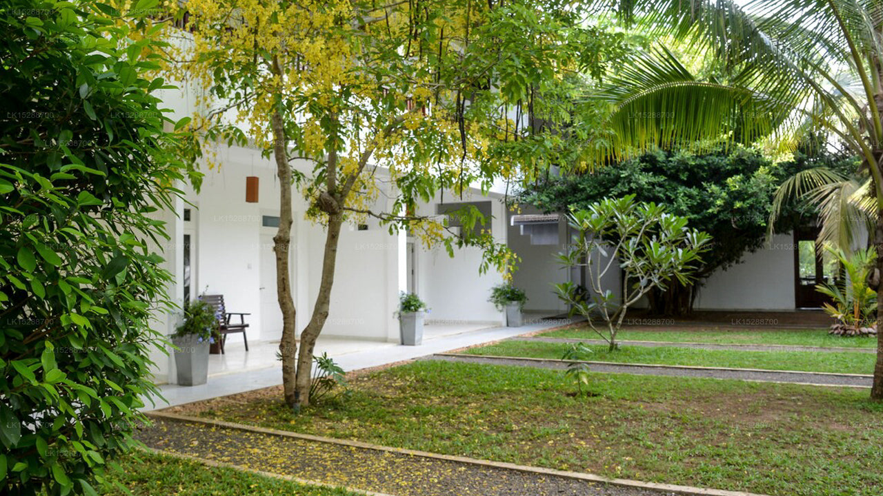 Calluna Hotel, Tangalle 