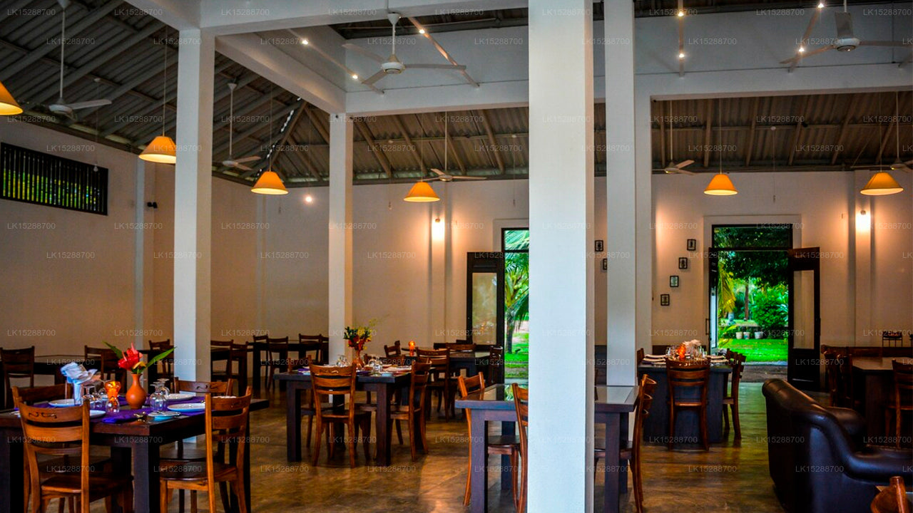 Calluna Hotel, Tangalle 