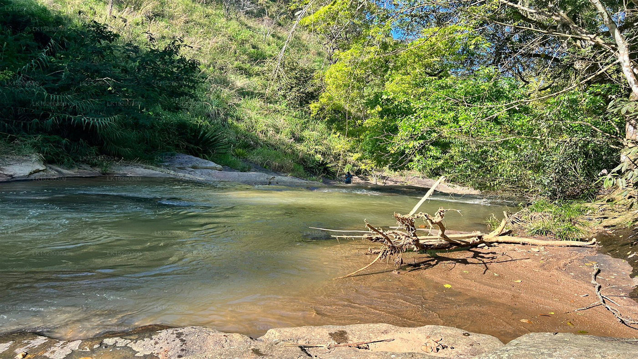 Hideaway Trails von Chaarya, Ella