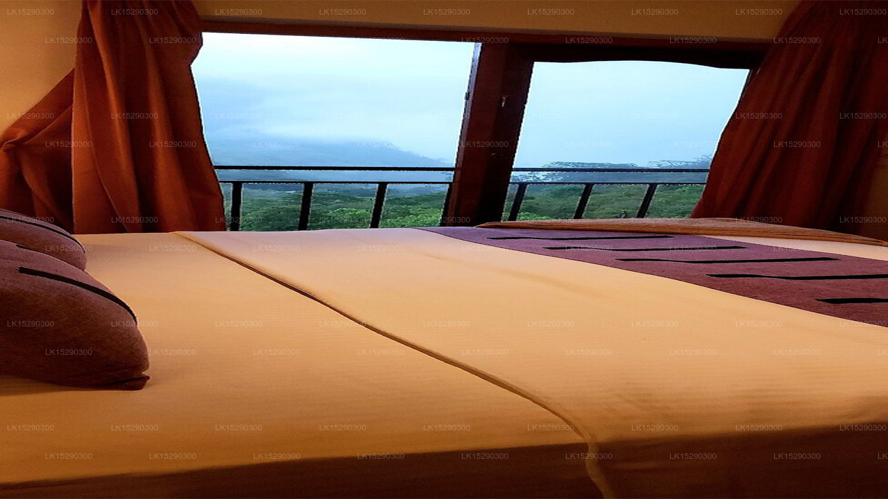 Hideaway Trails von Chaarya, Ella