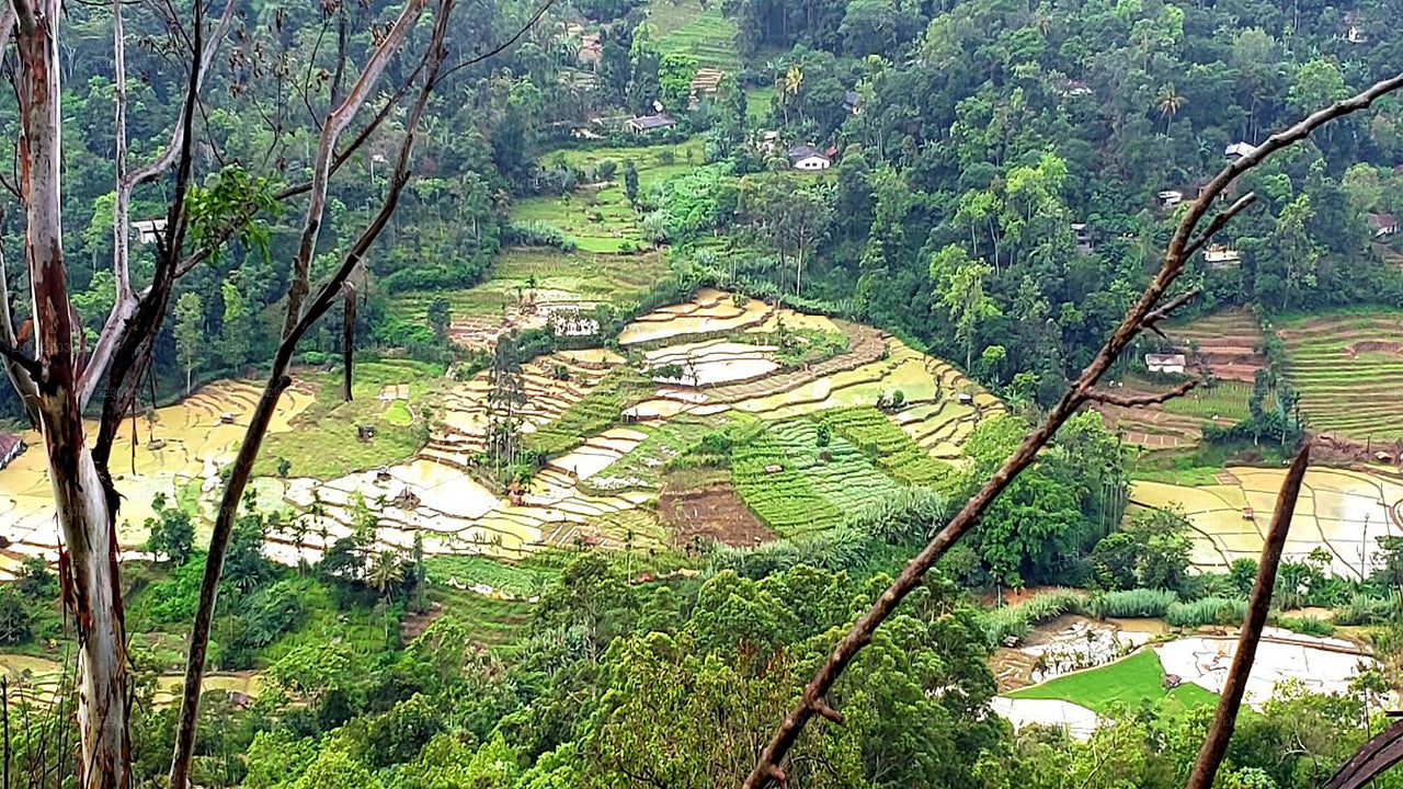 Hideaway Trails von Chaarya, Ella