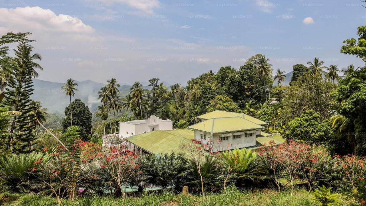 Das Flame Tree Estate &amp; Hotel, Kandy