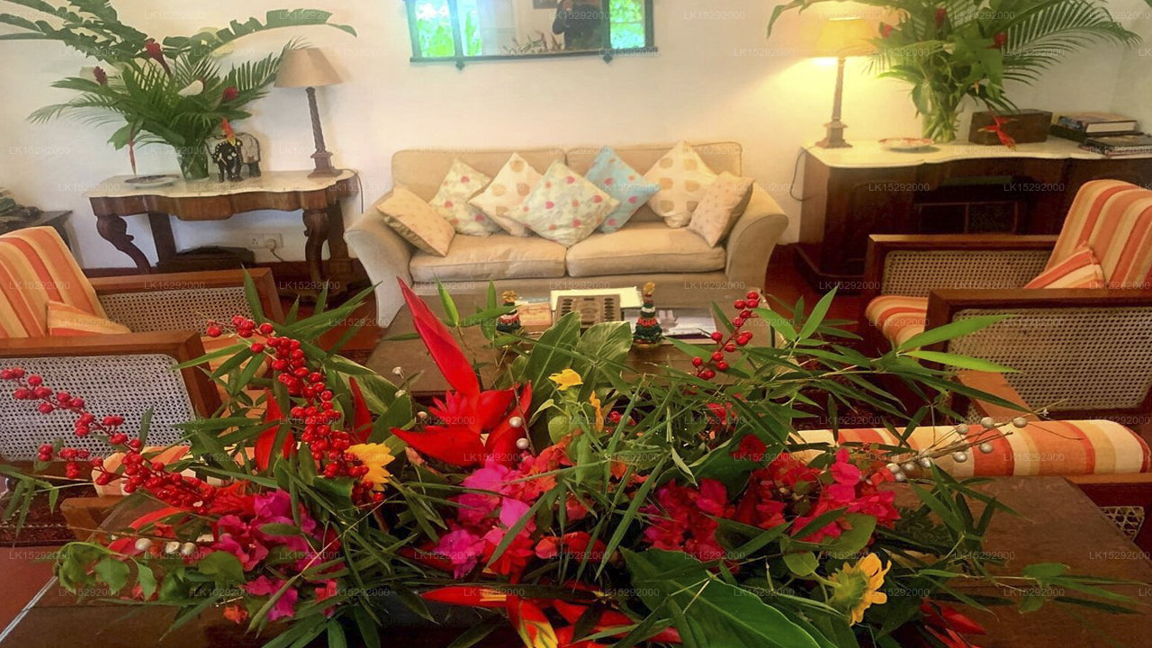 Ellerton Kandy, Kandy 