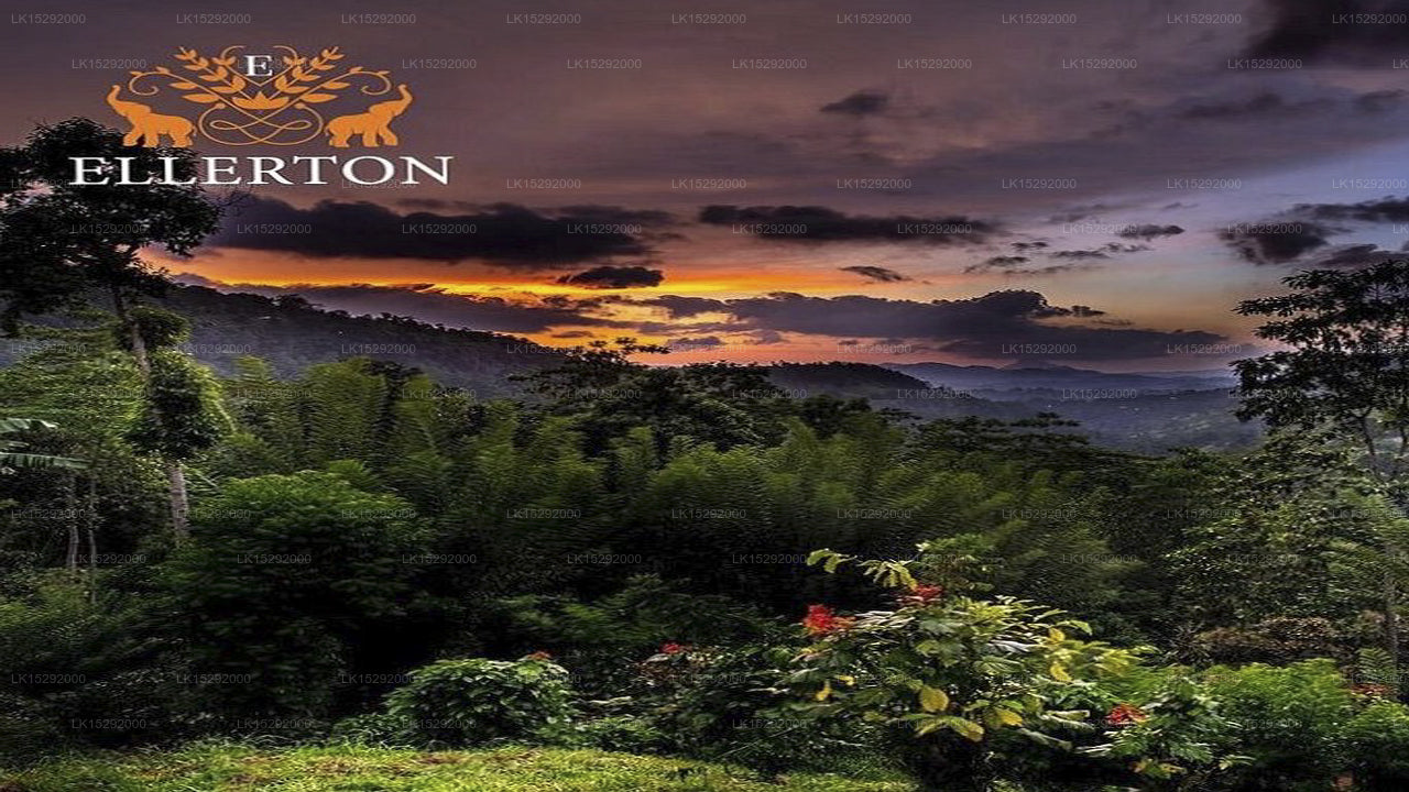 Ellerton Kandy, Kandy 