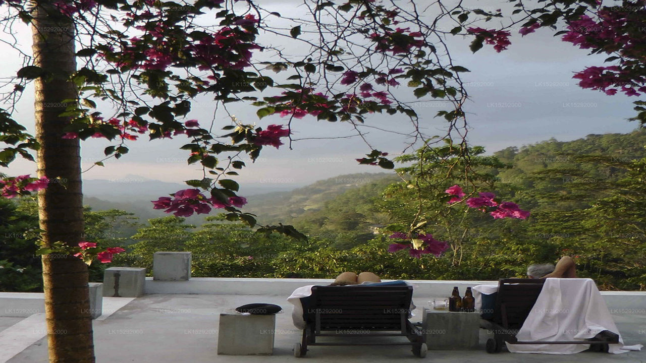 Ellerton Kandy, Kandy 