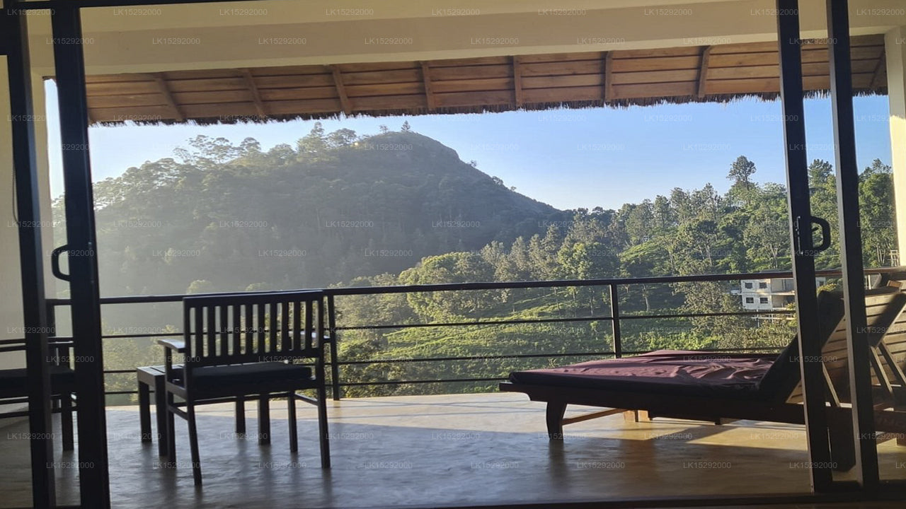 Ellerton Kandy, Kandy 