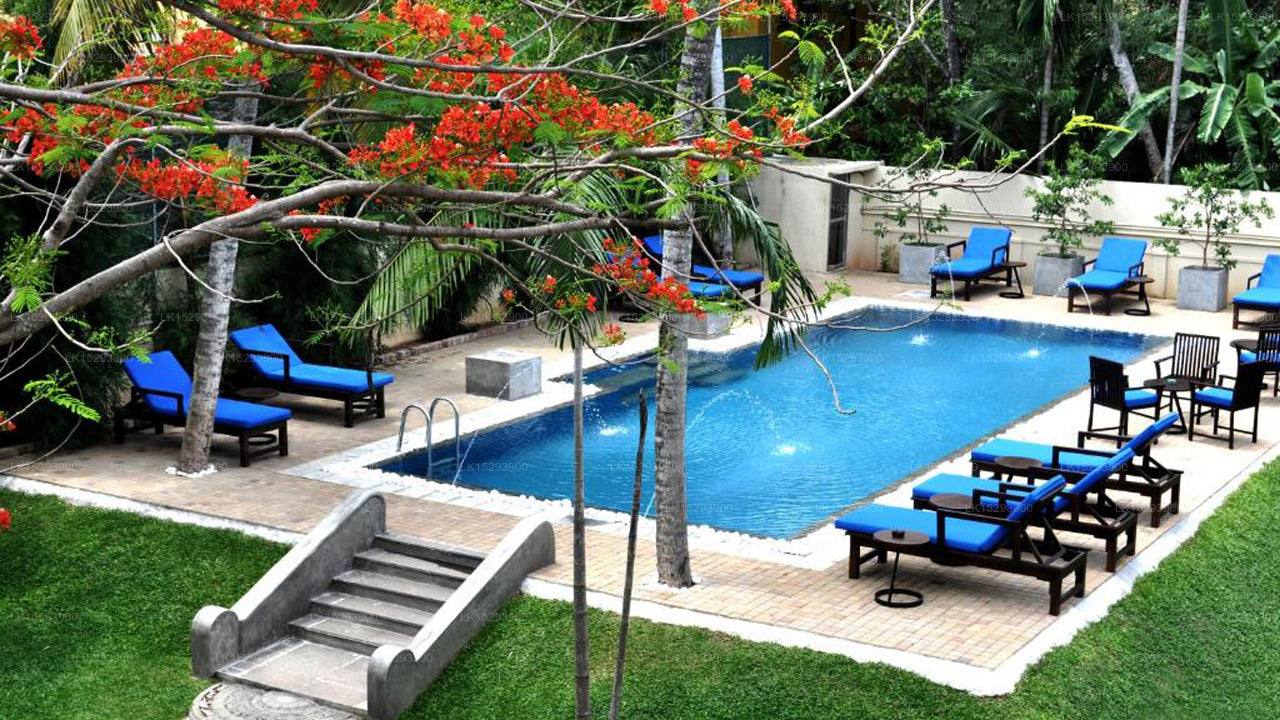 Ruhige Negombo Boutique