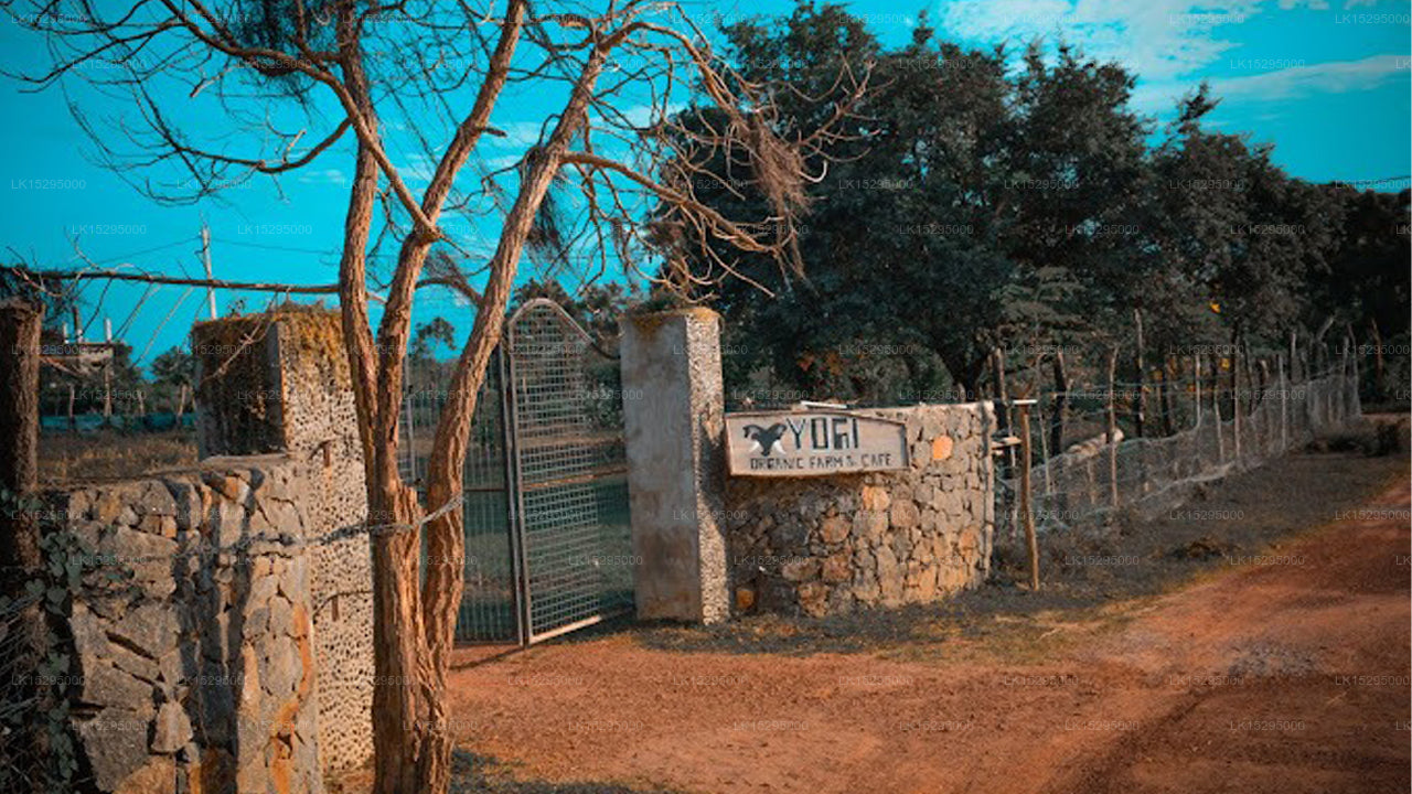 Yogi Bio-Farm &amp; Café