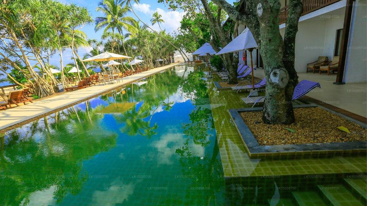 Pandanus Beach Resort &amp; Spa, Bentota