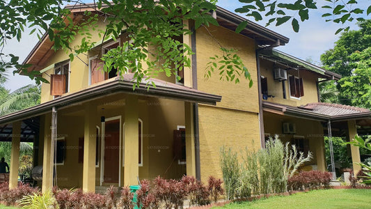 Die Villa Tranquilla