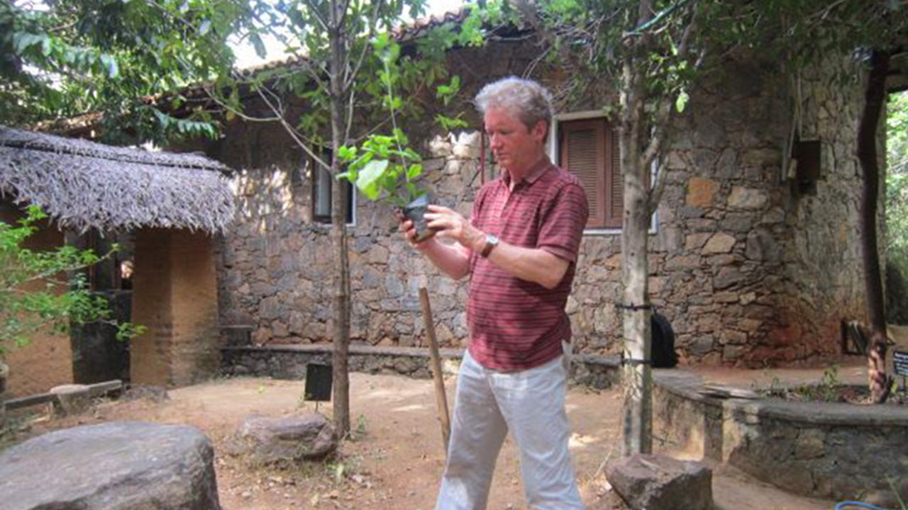 Pophams Arboretum, Dambulla