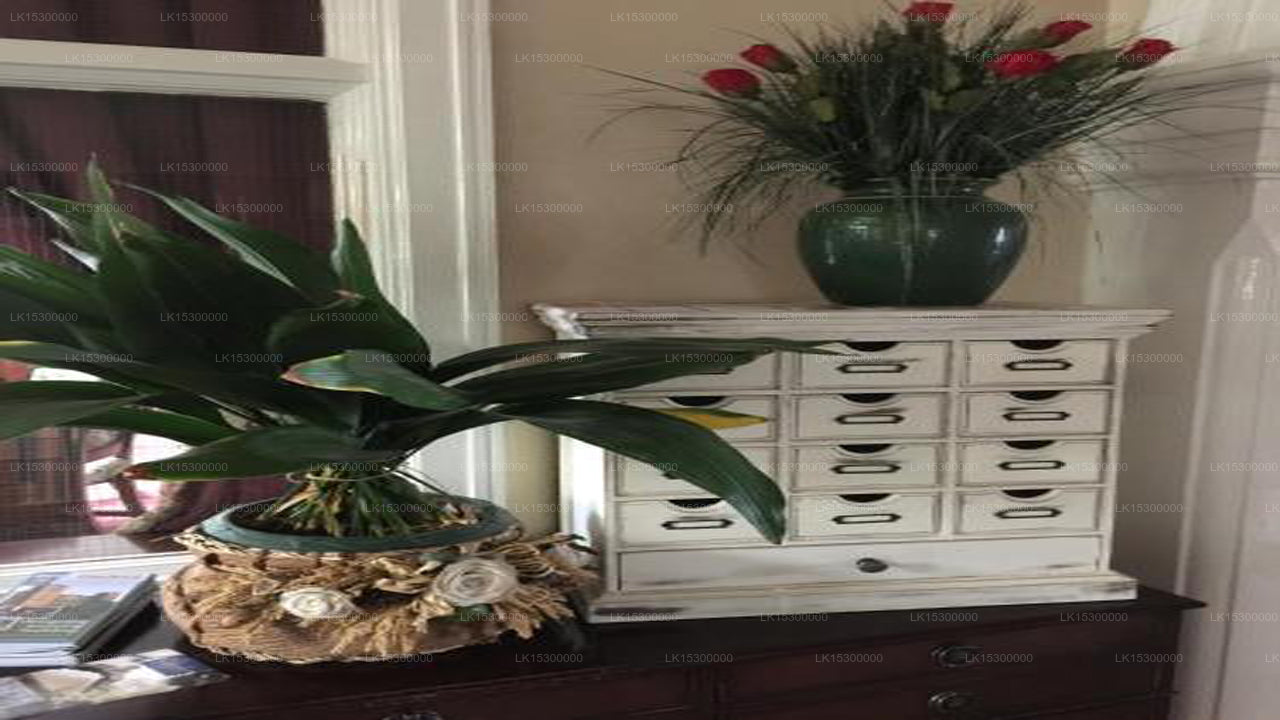 Dickson Strandhütte, Kalkudah