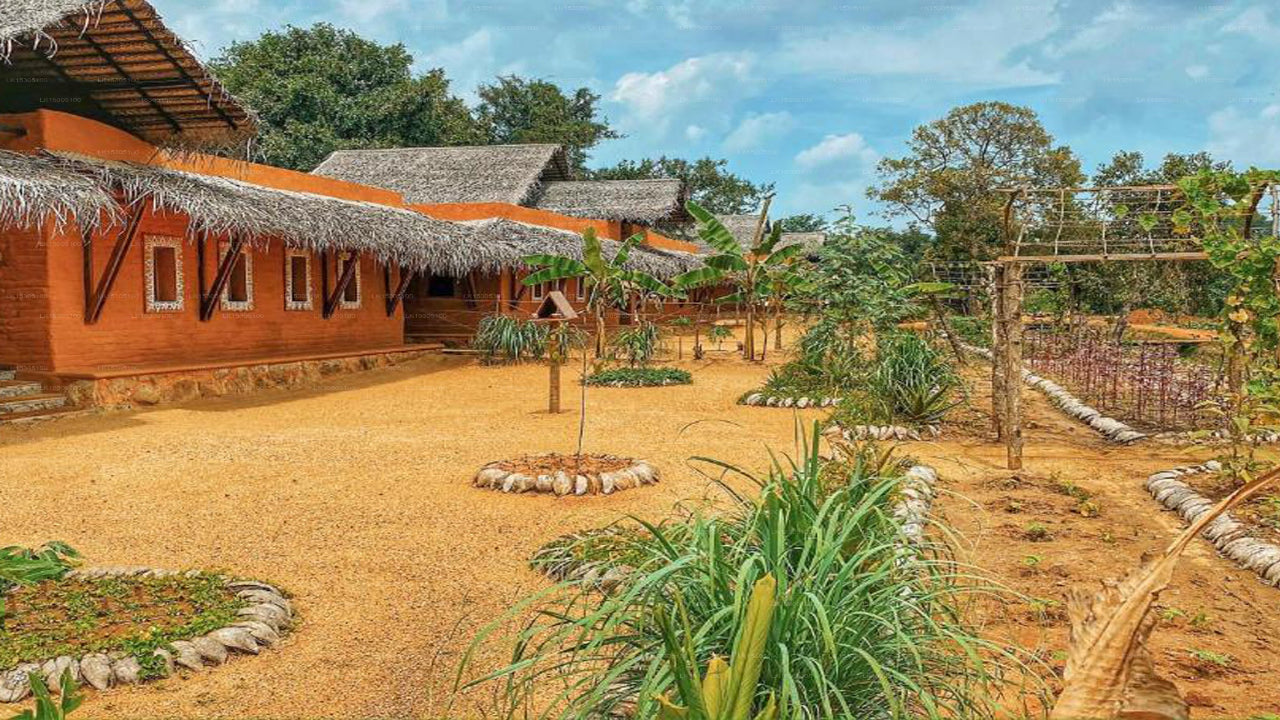 Ayurvi-Retreat, Sigiriya