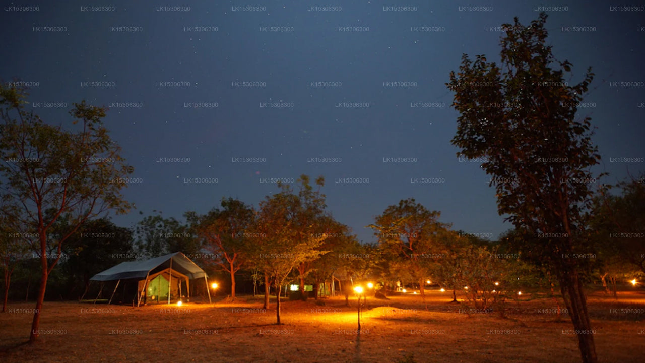 Eco Team Safari Camps Wilpattu (Pvt) Ltd 