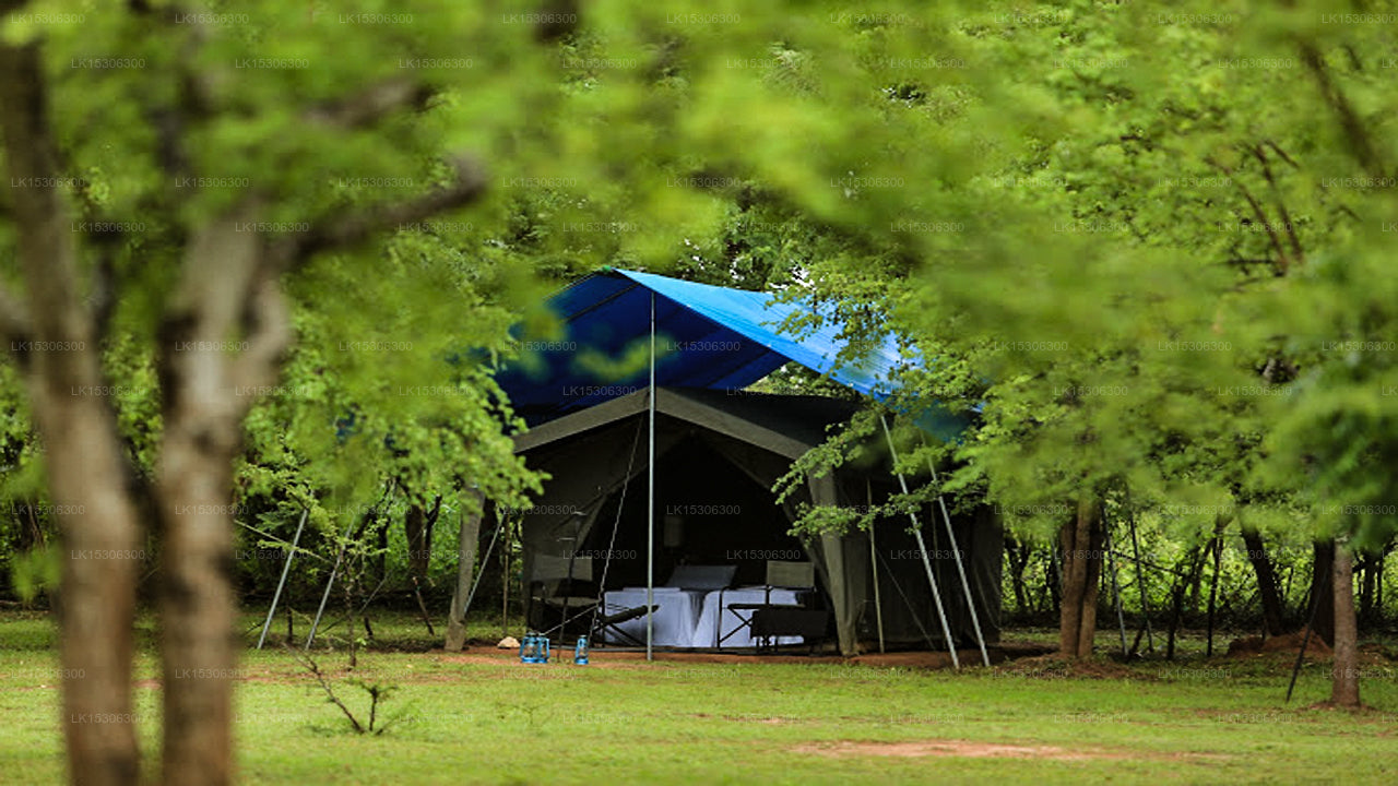 Eco Team Safari Camps Wilpattu (Pvt) Ltd 