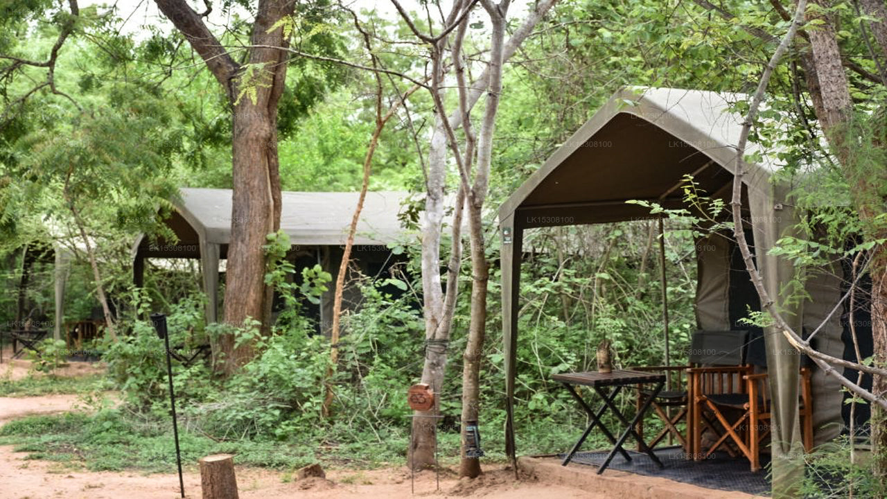 Eco Team Safari Camps, Yala 
