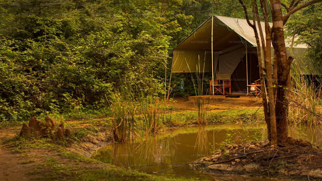 Eco Team Safari Camps, Yala 