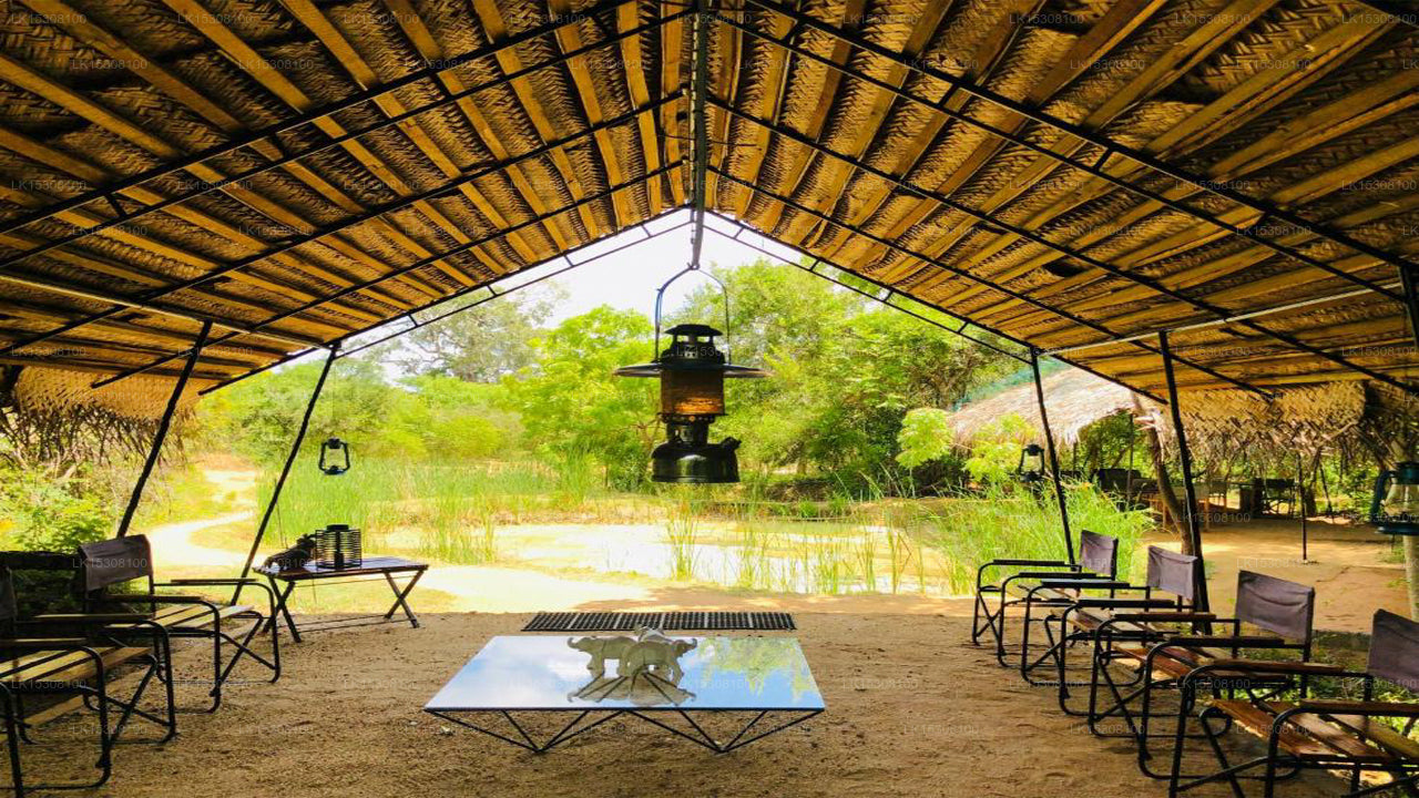 Eco Team Safari Camps, Yala 