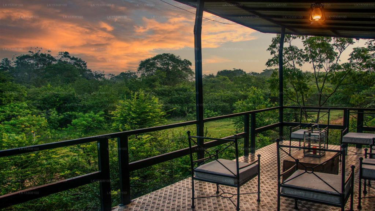 Eco Team Safari Camps, Yala 