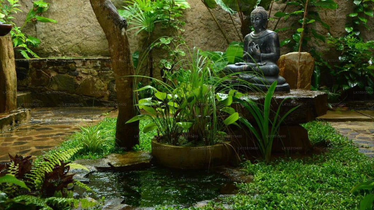 Goyambokka View Gästehaus