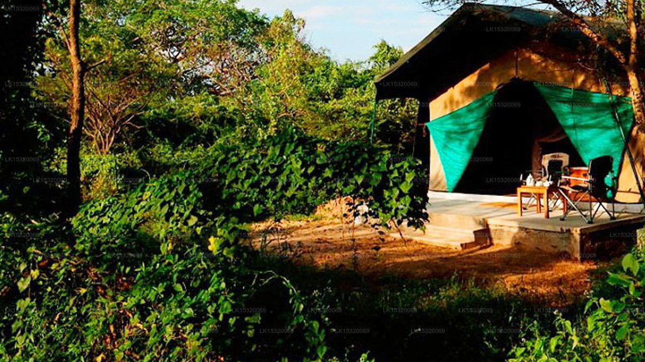 Ceylon Wilpattu Safaris &amp; Unterkunft
