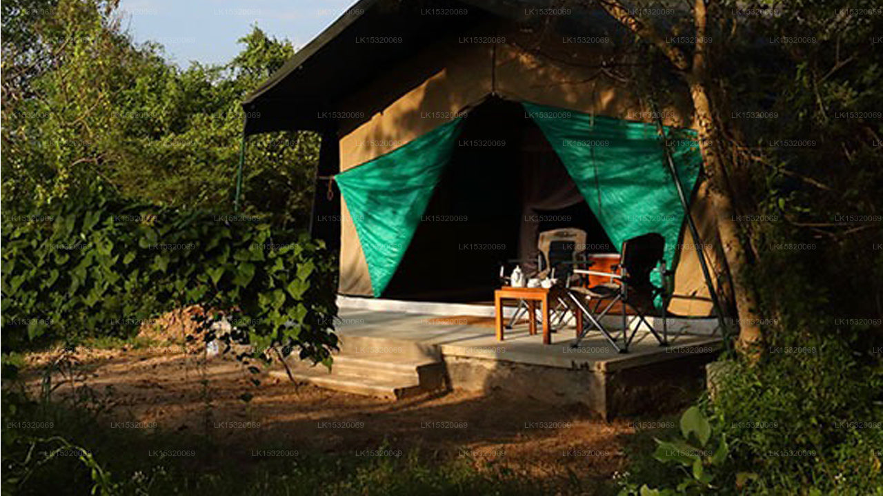 Ceylon Wilpattu Safaris &amp; Unterkunft