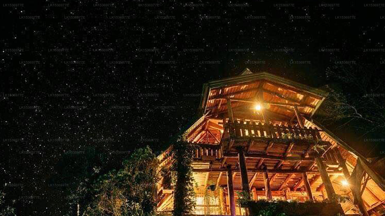 Das Log, Nuwara Eliya