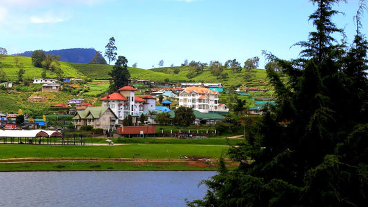 Royal Hills Nuwara Eliya, Nuwara Eliya 