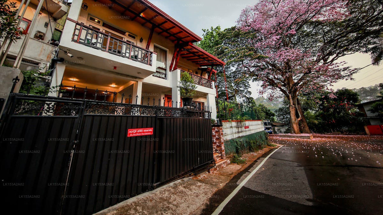 Y&amp;Y Residence, Kandy