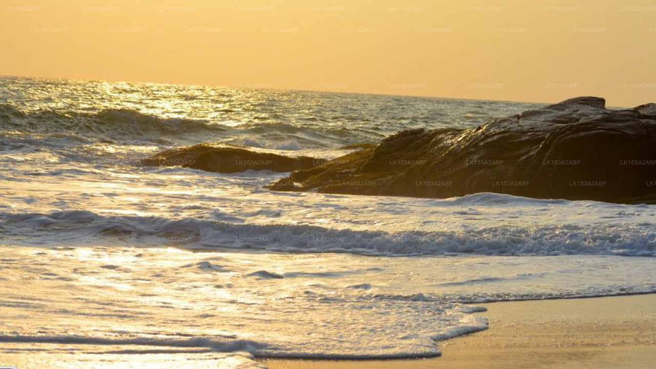 Strandvilla, Induruwa 