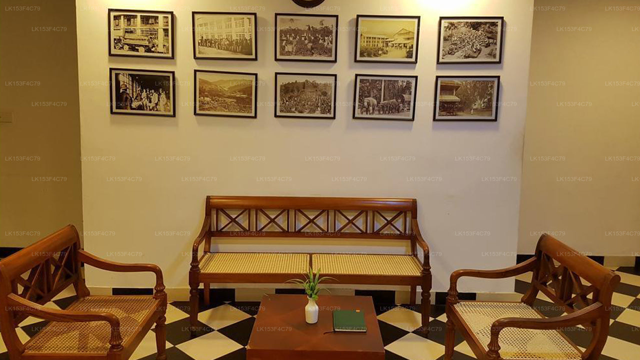 GiGi Colombo von Epic