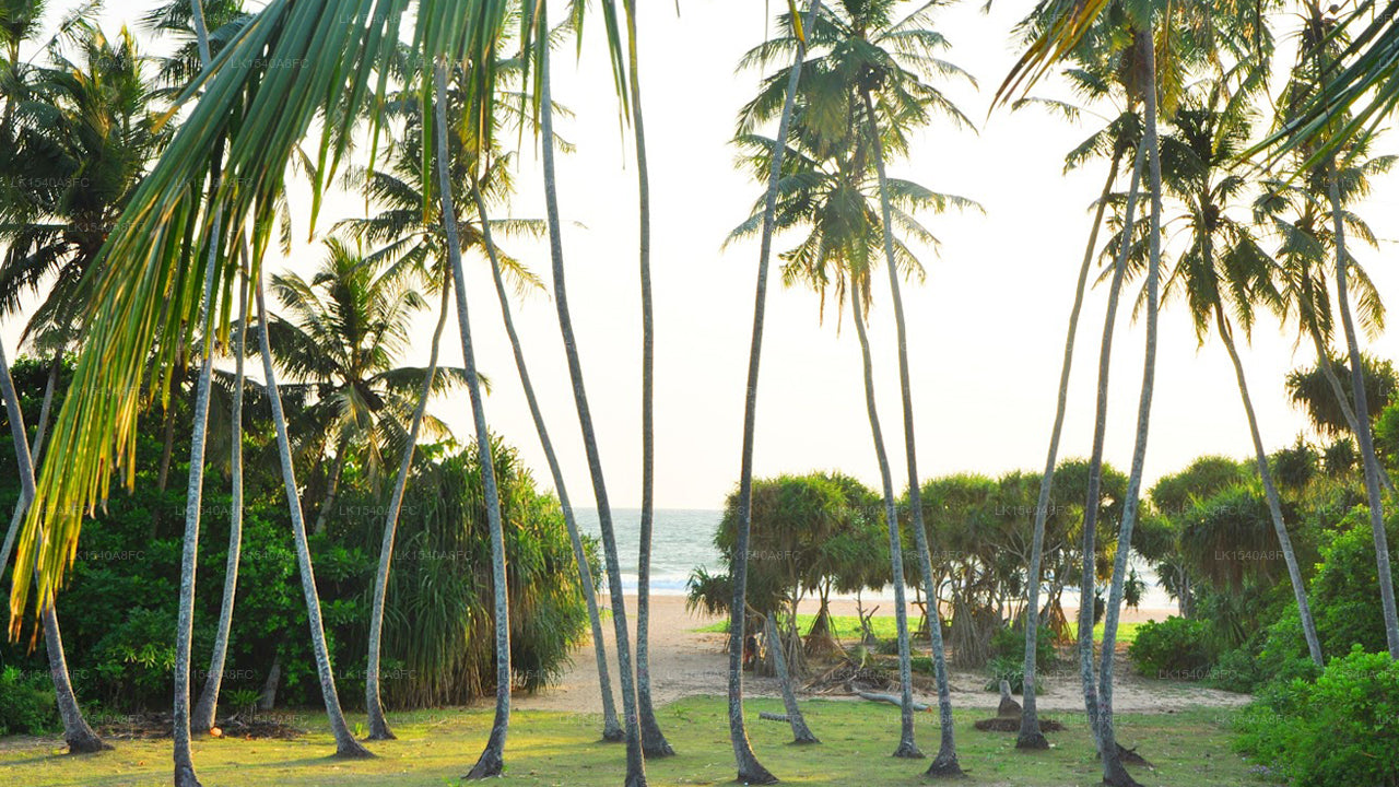 Meerblick, Bentota 