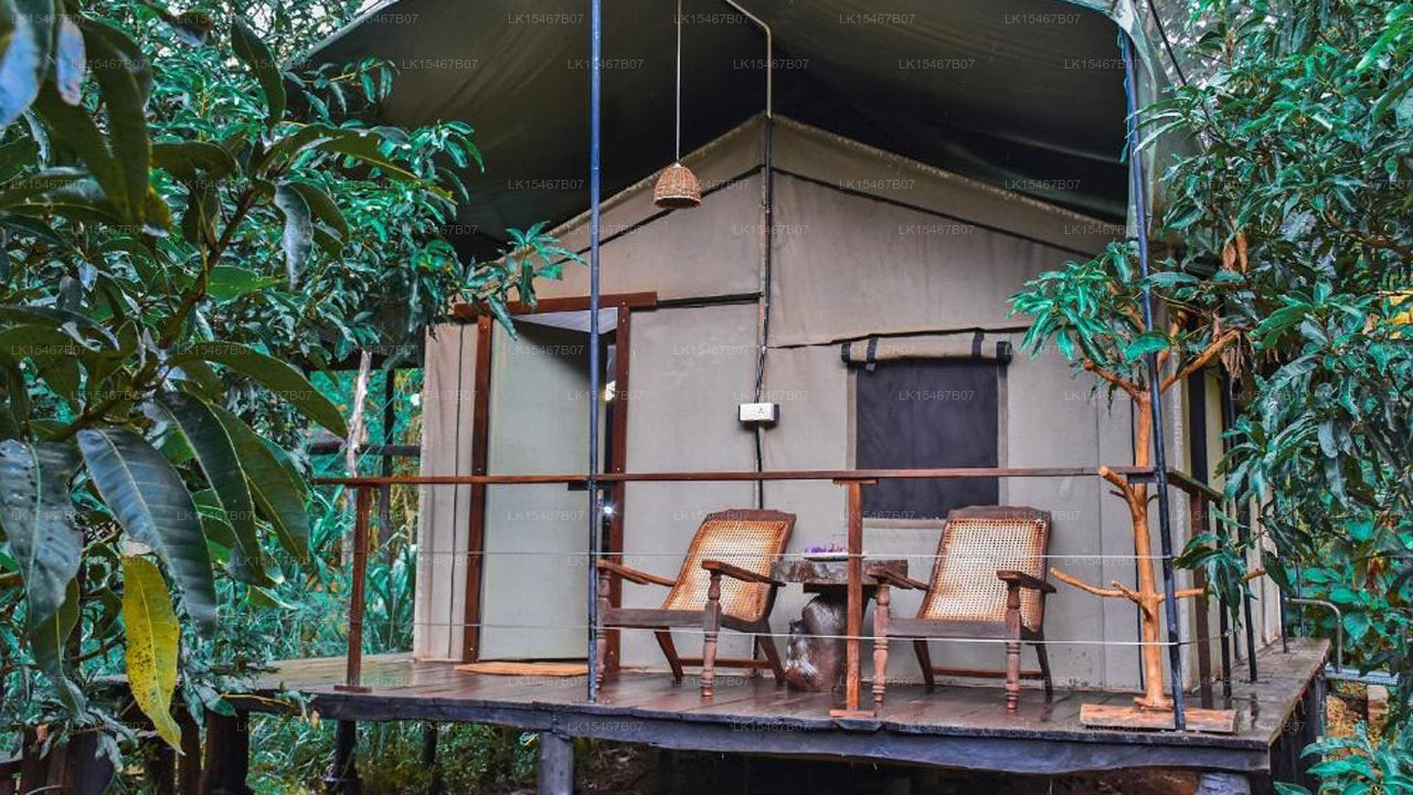 River Glamping von Gaga Bees, Udawalawe