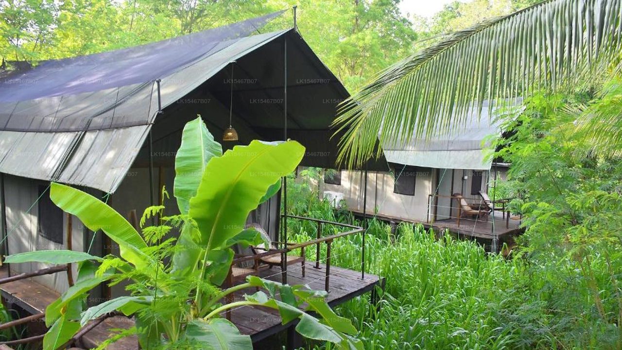 River Glamping von Gaga Bees, Udawalawe