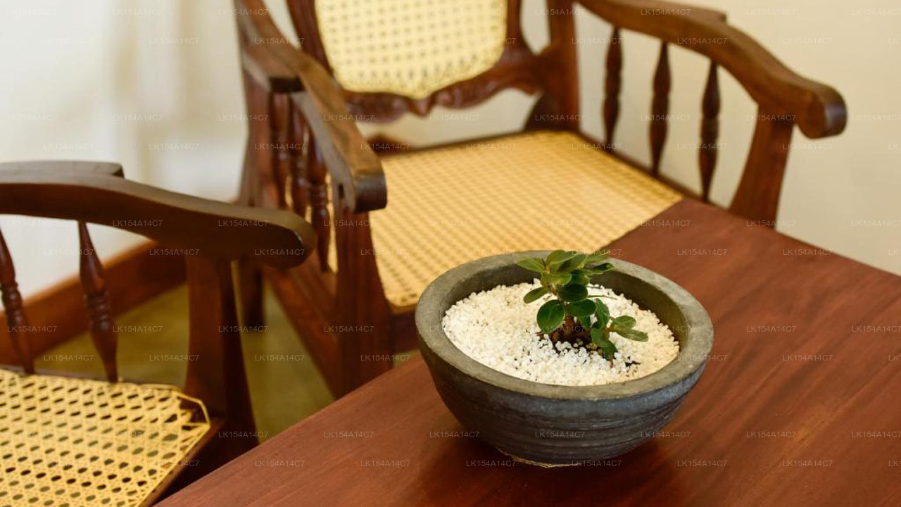 Hiru-Lagune, Negombo