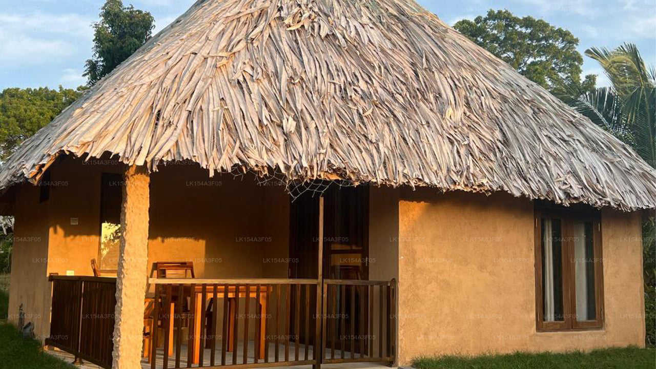 Safransee Yala, Tissamaharama