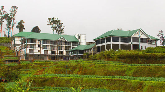 Der Blackpool, Nuwara Eliya
