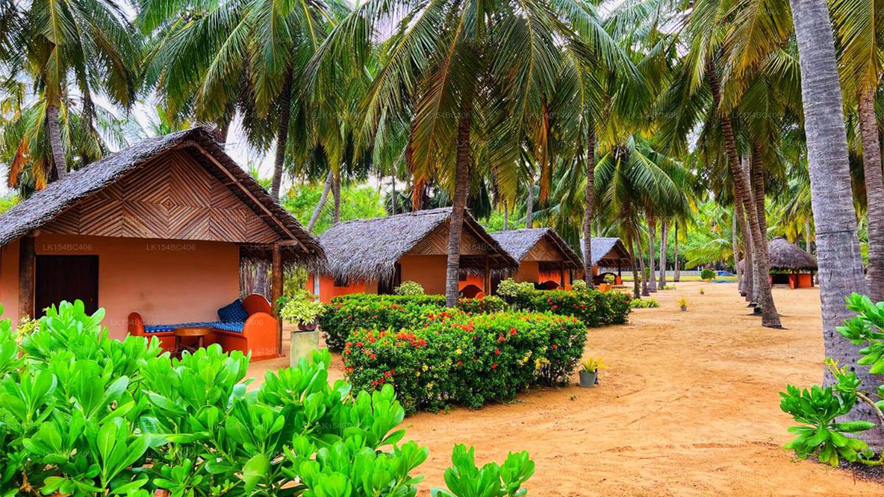 Roshanne Beach Resort, Kalpitiya