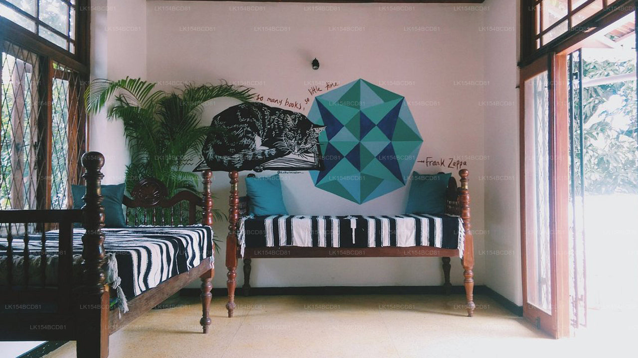 Black Cat Bed &amp; Breakfast