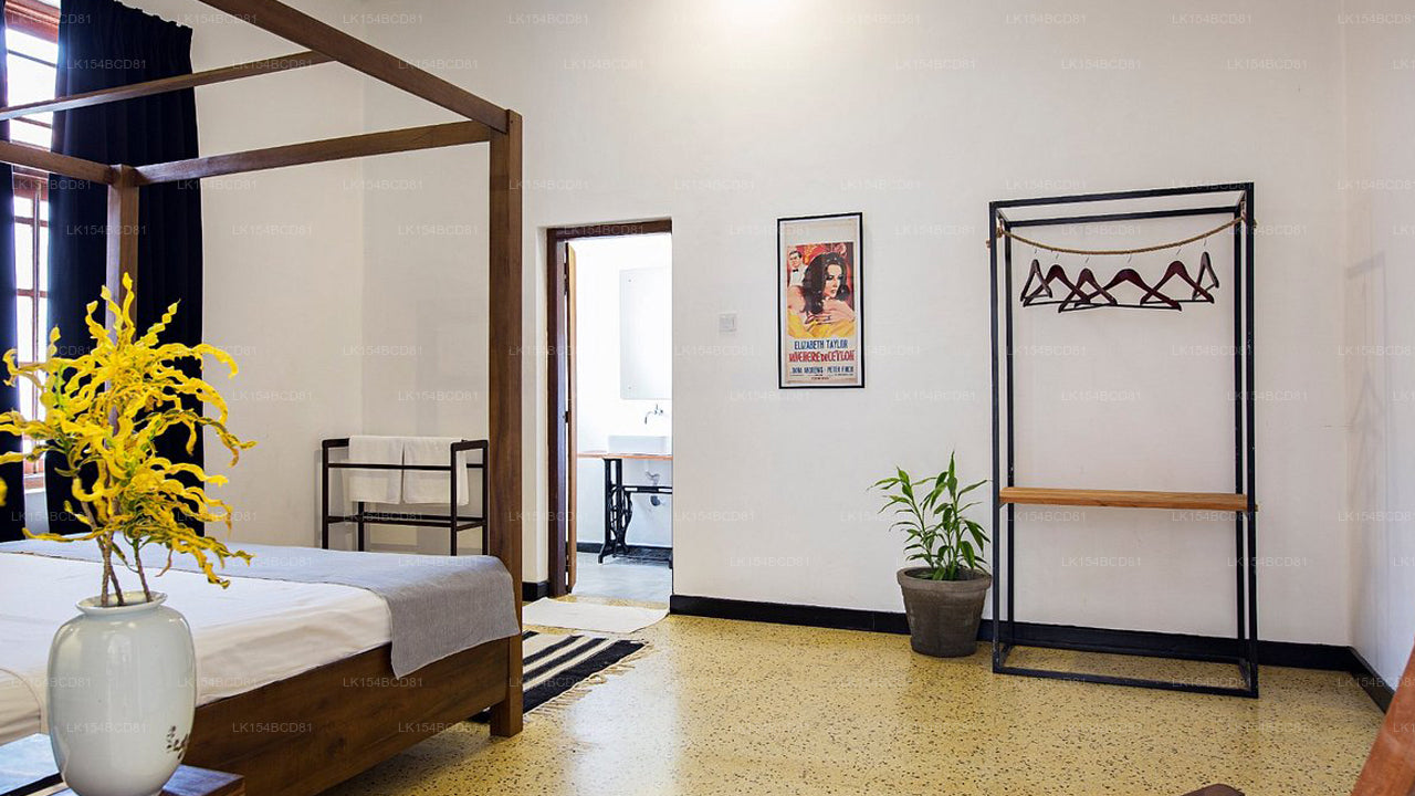 Black Cat Bed &amp; Breakfast