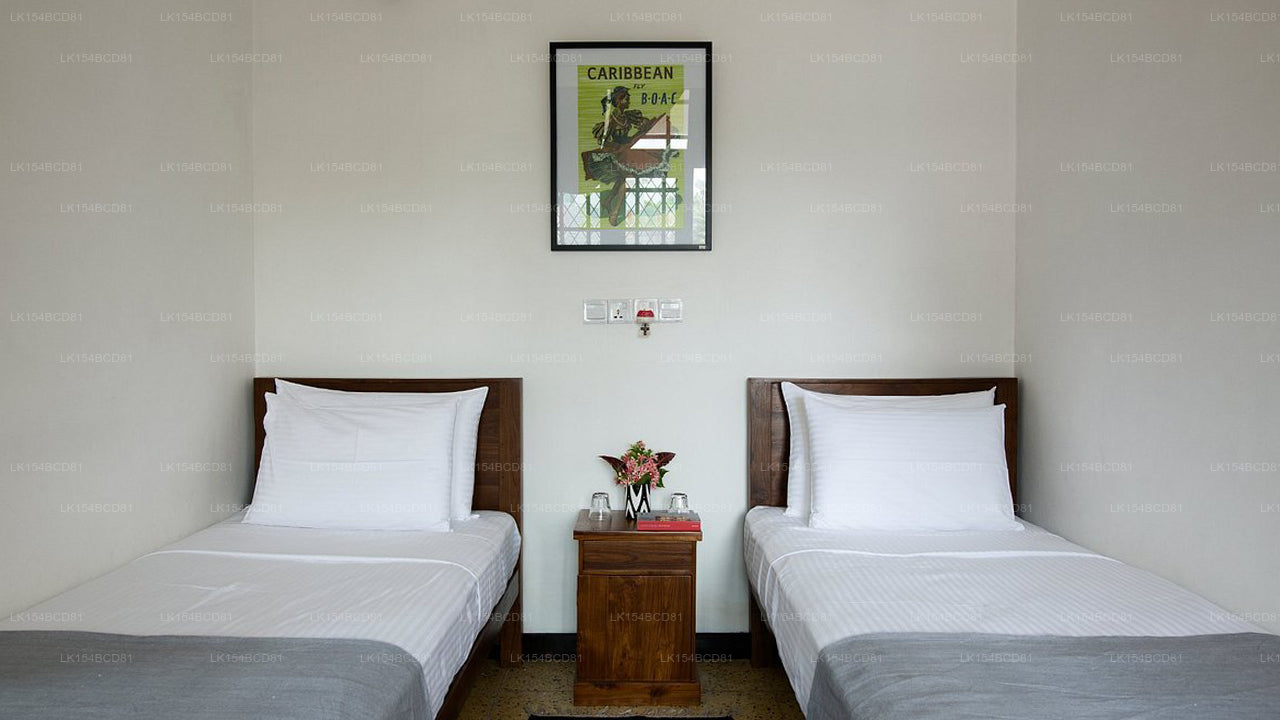 Black Cat Bed &amp; Breakfast