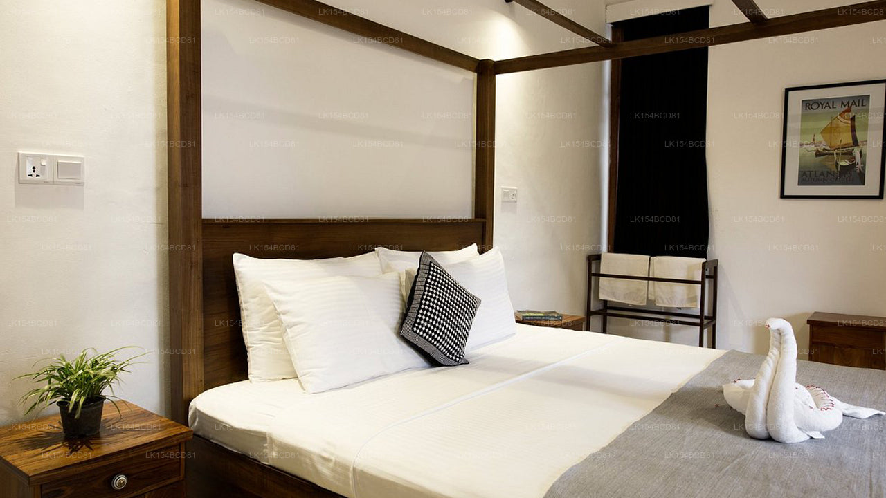 Black Cat Bed &amp; Breakfast