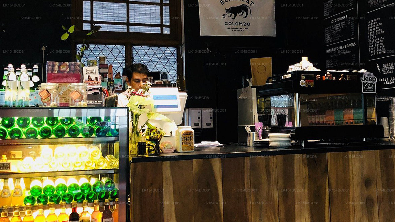 Black Cat Bed &amp; Breakfast